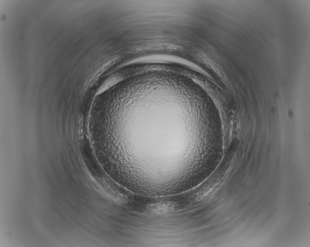 X0000068840356200605051307