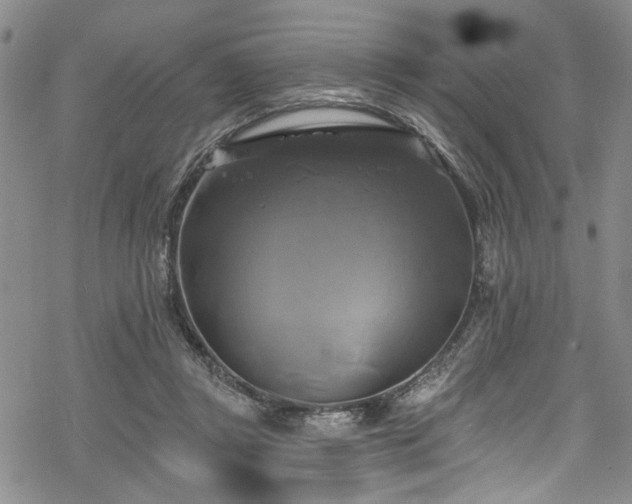 X0000068840357200605051307