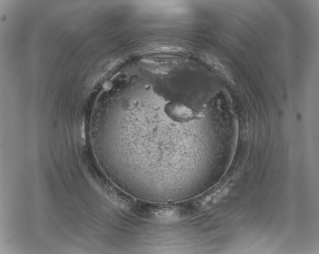 X0000068840358200605051307