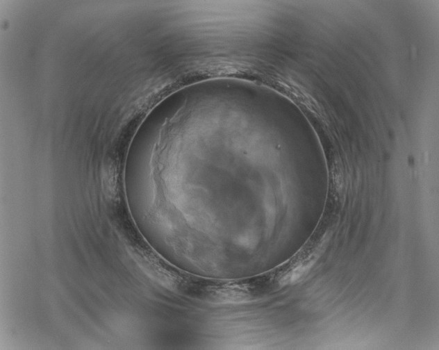 X0000068840359200605051307