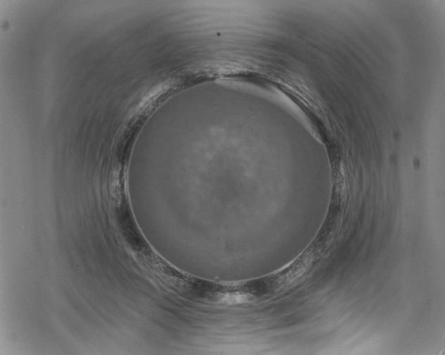 X0000068840360200605051307