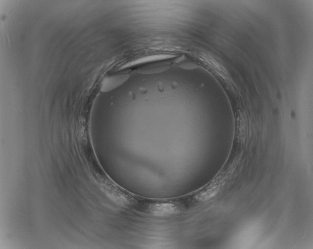 X0000068840361200605051308