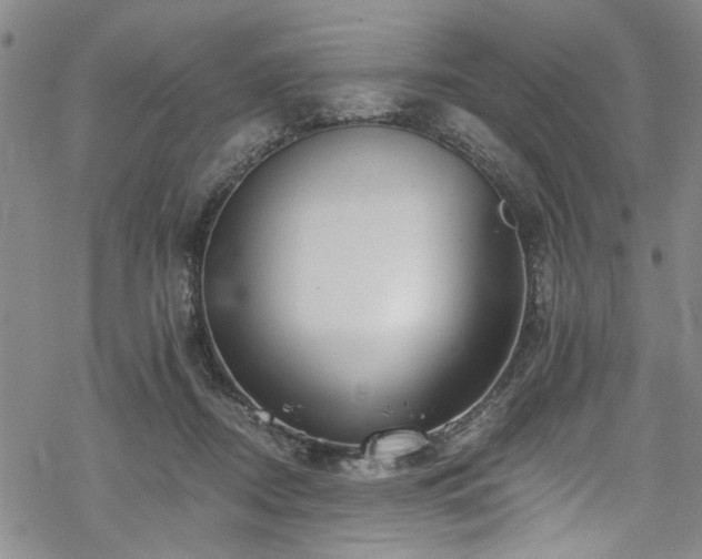 X0000068840362200605051308