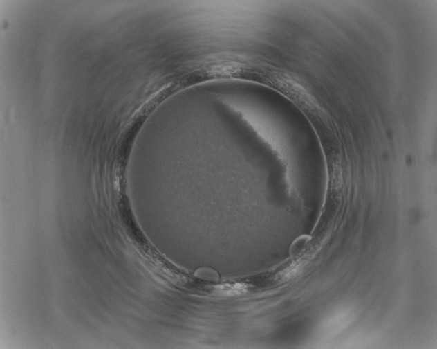 X0000068840363200605051308