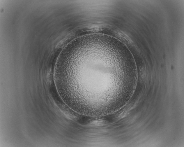 X0000068840364200605051308