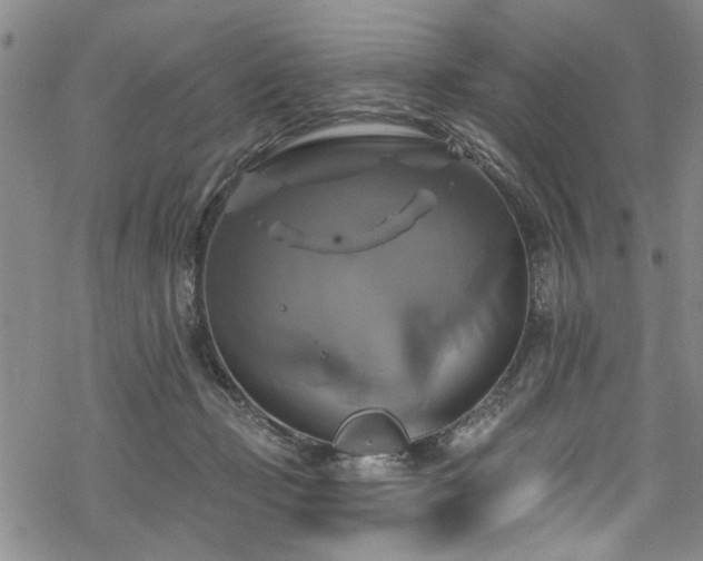 X0000068840365200605051308