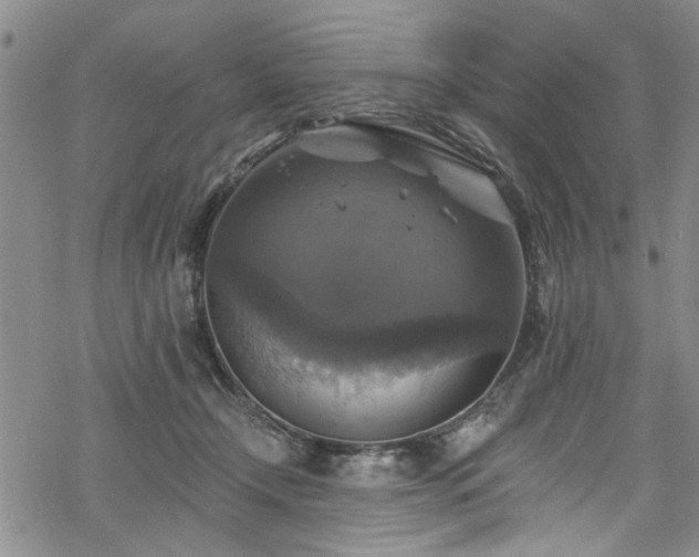 X0000068840366200605051308