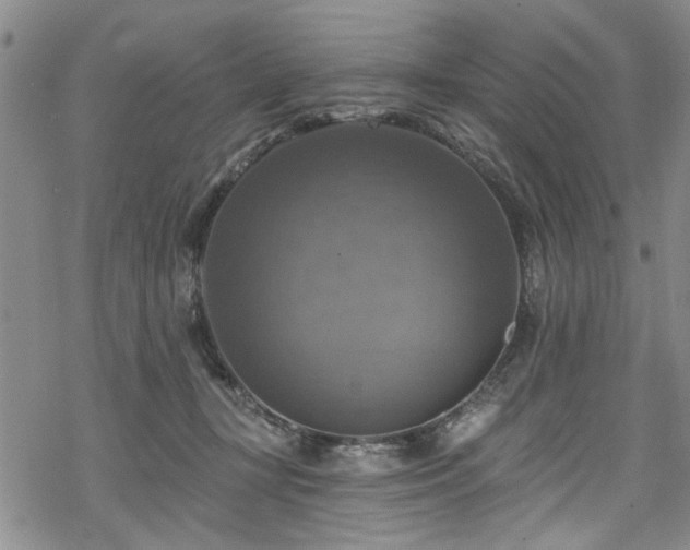 X0000068840367200605051308