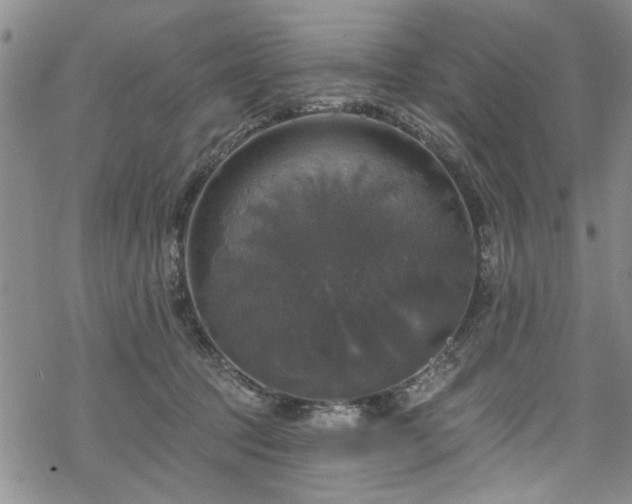 X0000068840369200605051308