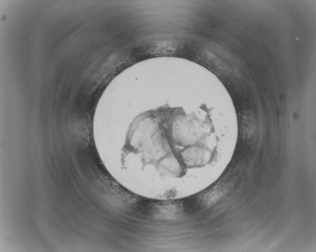 X0000068840370200605051308