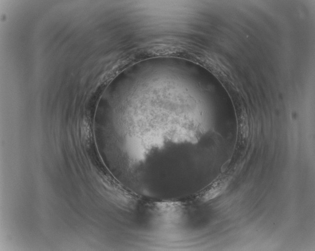 X0000068840371200605051308