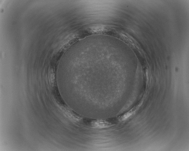 X0000068840372200605051308