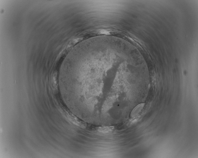 X0000068840373200605051308