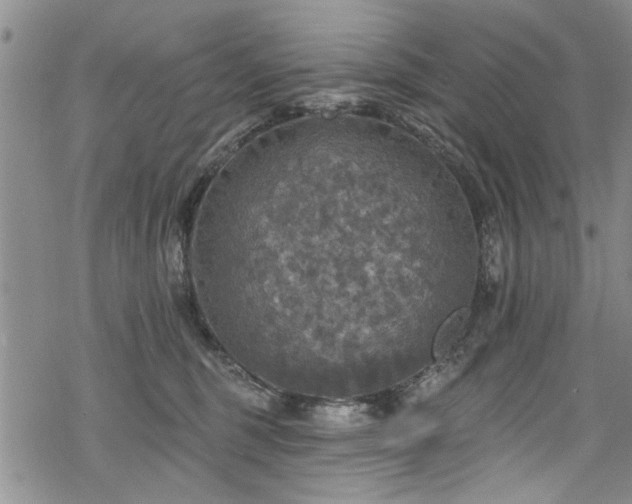 X0000068840375200605051308