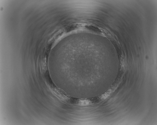 X0000068840376200605051308