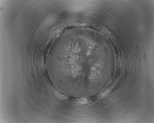 X0000068840377200605051308