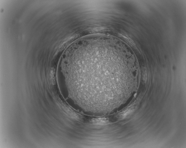 X0000068840378200605051308