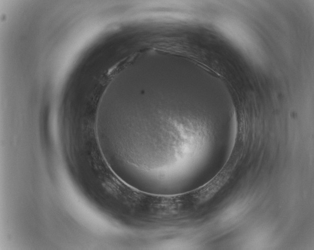 X0000068840383200605051308