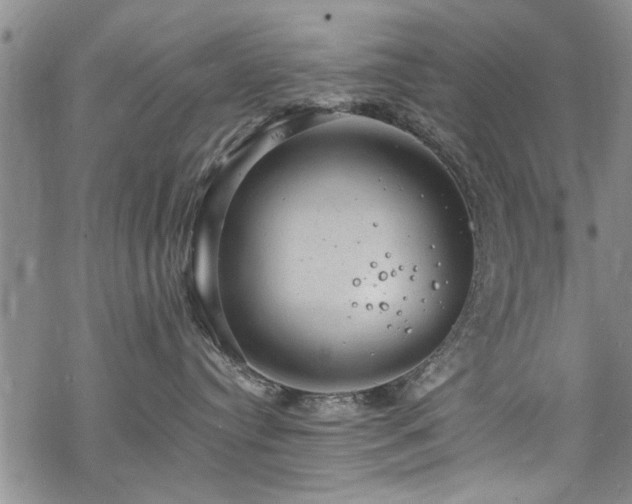 X0000068840384200605051308