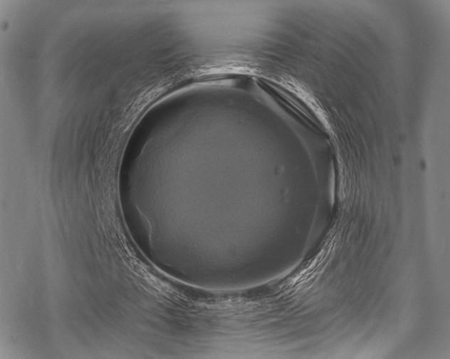 X0000068840385200605051307