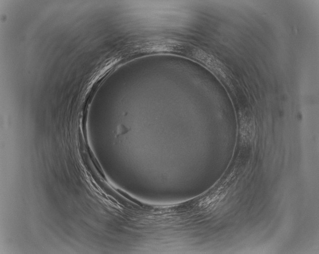 X0000068840386200605051307