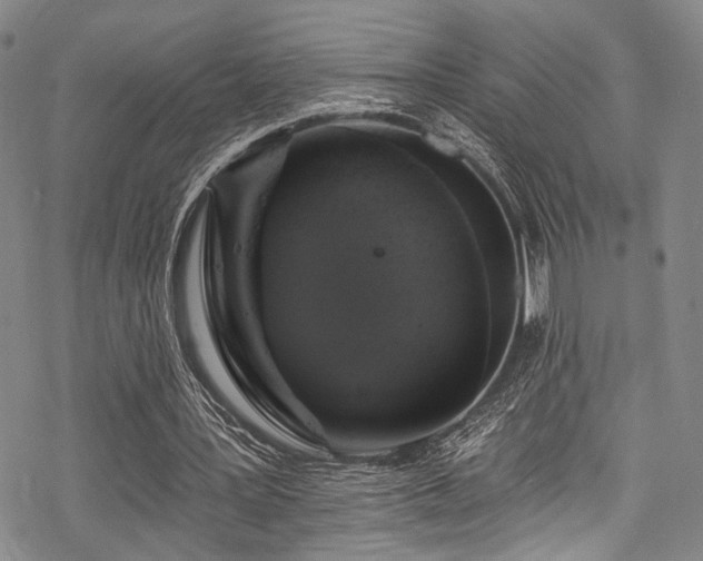 X0000068840387200605051307