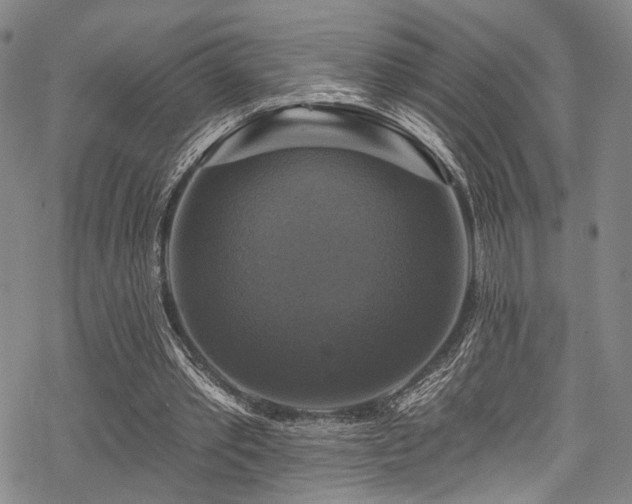 X0000068840389200605051307