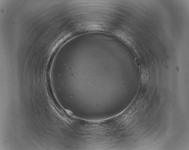 X0000068840390200605051307