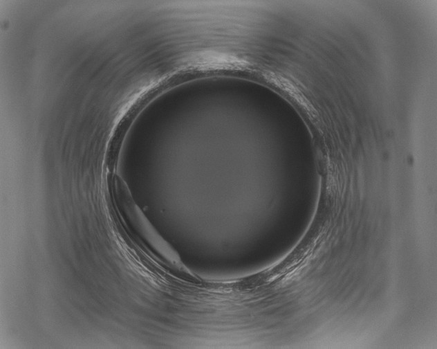 X0000068840391200605051307