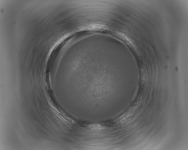 X0000068840392200605051307