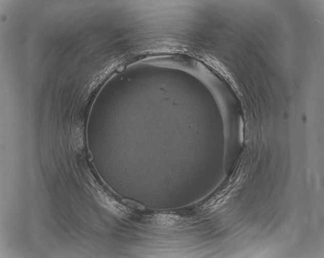 X0000068840393200605051307