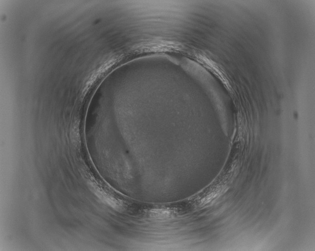 X0000068840394200605051307