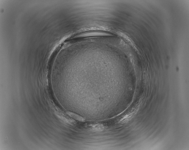 X0000068840395200605051307