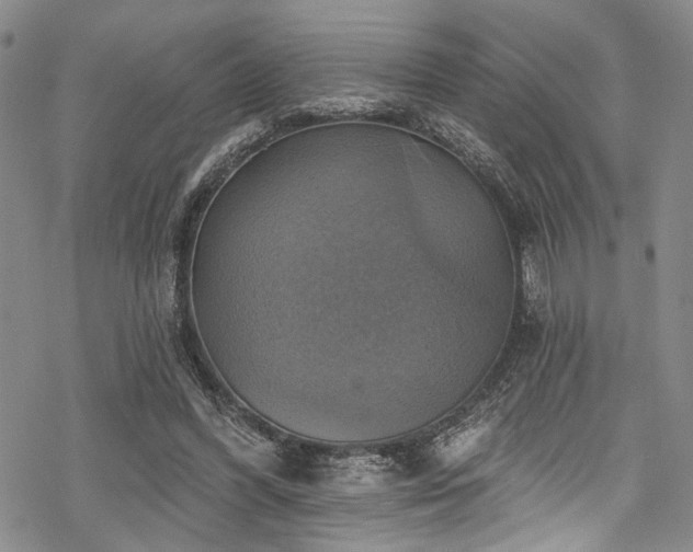 X0000068840396200605051307