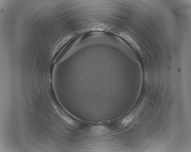 X0000068840397200605051307