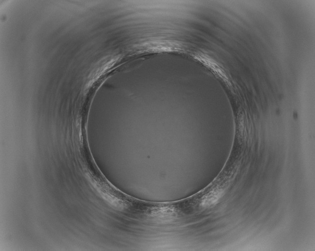 X0000068840398200605051307