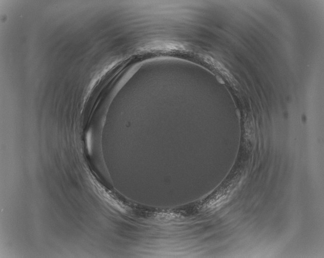 X0000068840399200605051307