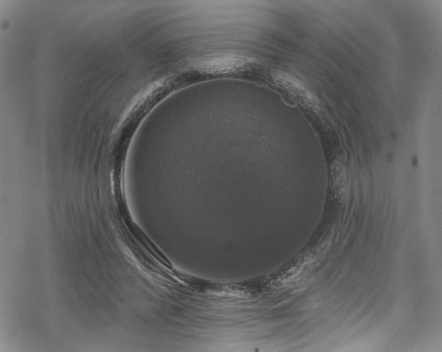 X0000068840400200605051307