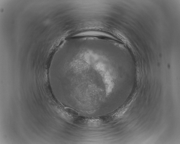 X0000068840401200605051307