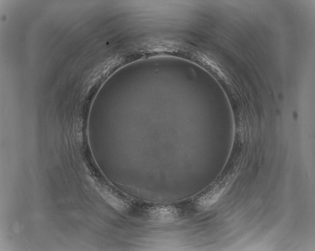 X0000068840402200605051307