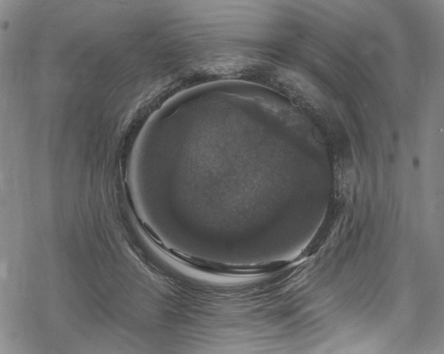 X0000068840404200605051307