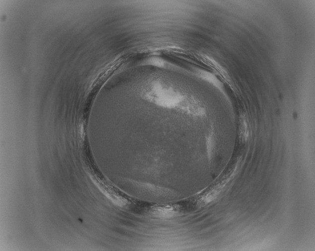 X0000068840405200605051307