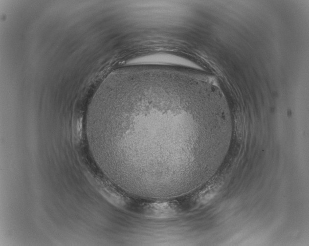 X0000068840406200605051307