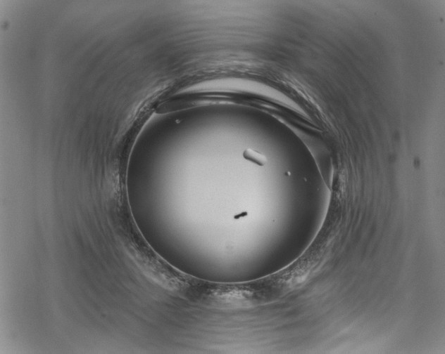 X0000068840407200605051307