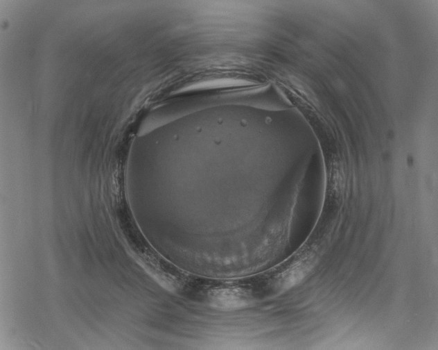 X0000068840408200605051307