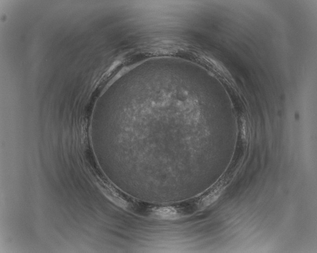 X0000068840409200605051307