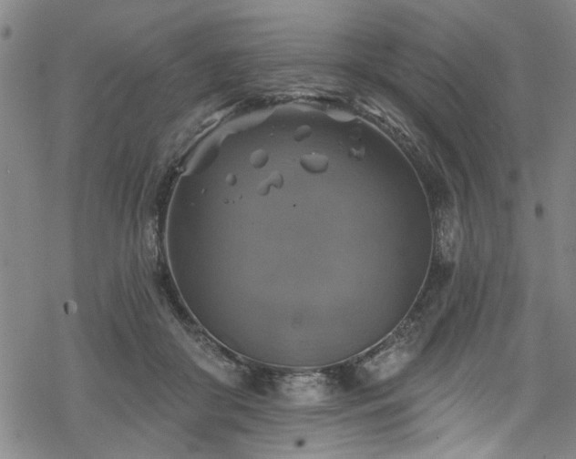 X0000068840410200605051307