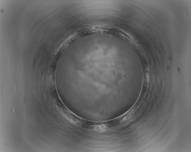 X0000068840411200605051307