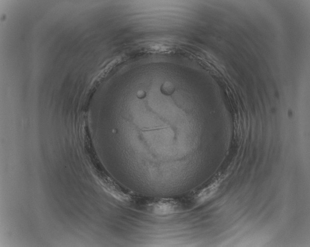 X0000068840412200605051307