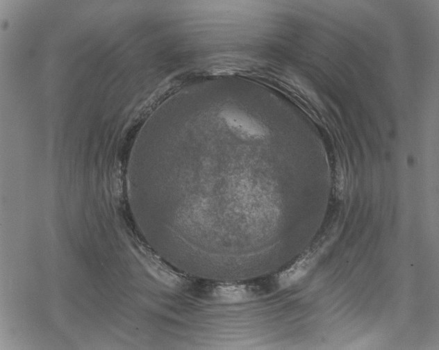 X0000068840413200605051307